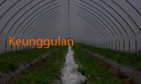 Keunggulan dan Potensi Skorkilat: Menyusun Strategi Terbaik dalam Dunia Judi Online 